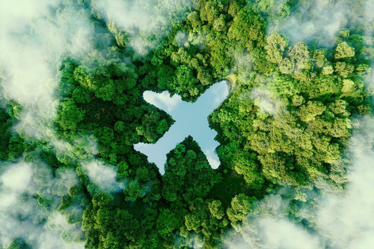 Eco-Friendly Travel in 2025: How Smart WiFi Devices Like Globlinker Help You Stay Green and Connected