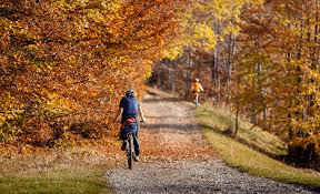 Fall Travel 2025:Stay Connected During Autumn Adventures with Globlinker