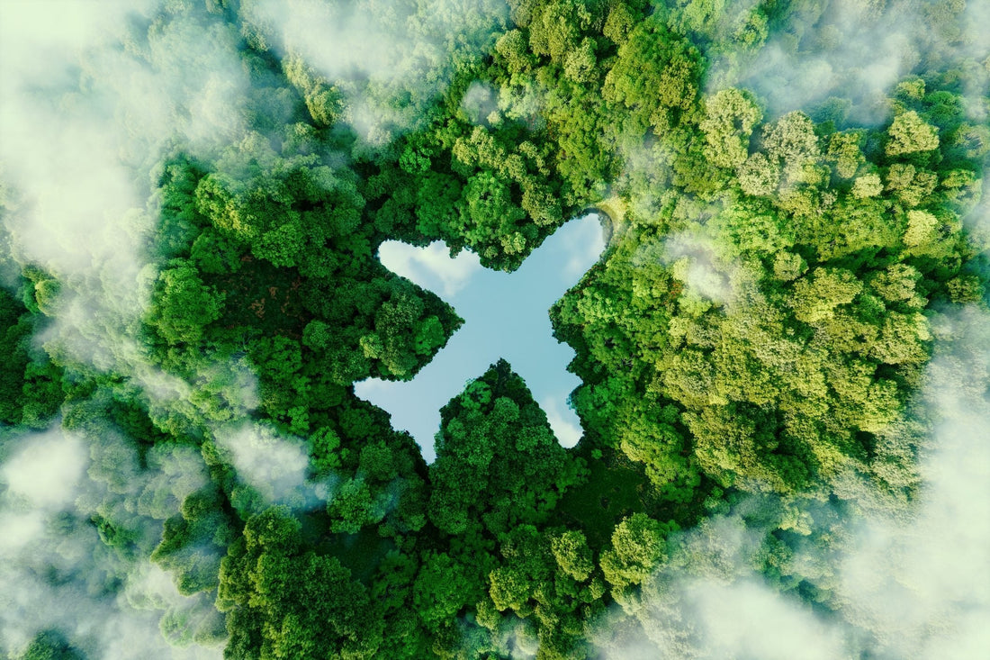 Eco-Friendly Travel in 2025: How Smart WiFi Devices Like Globlinker Help You Stay Green and Connected